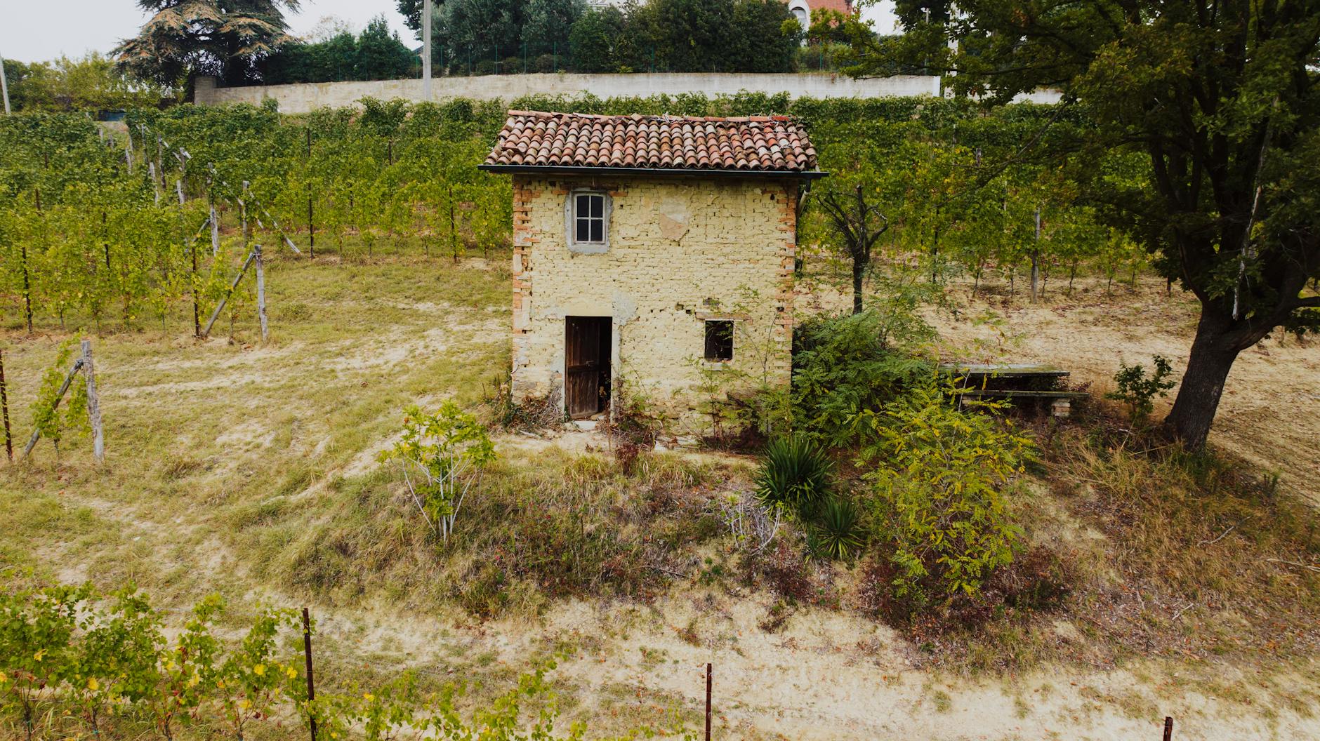 Kamienna chatka wśród winnicy w spokojnej okolicy