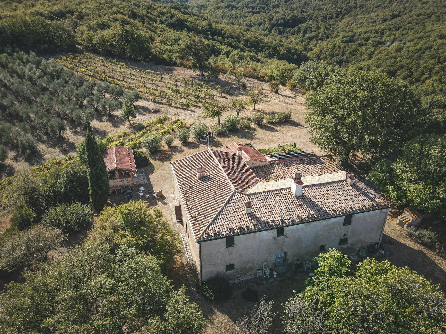 Kamienne gospodarstwo wśród winnic na zielonym wzgórzu, widok z drona