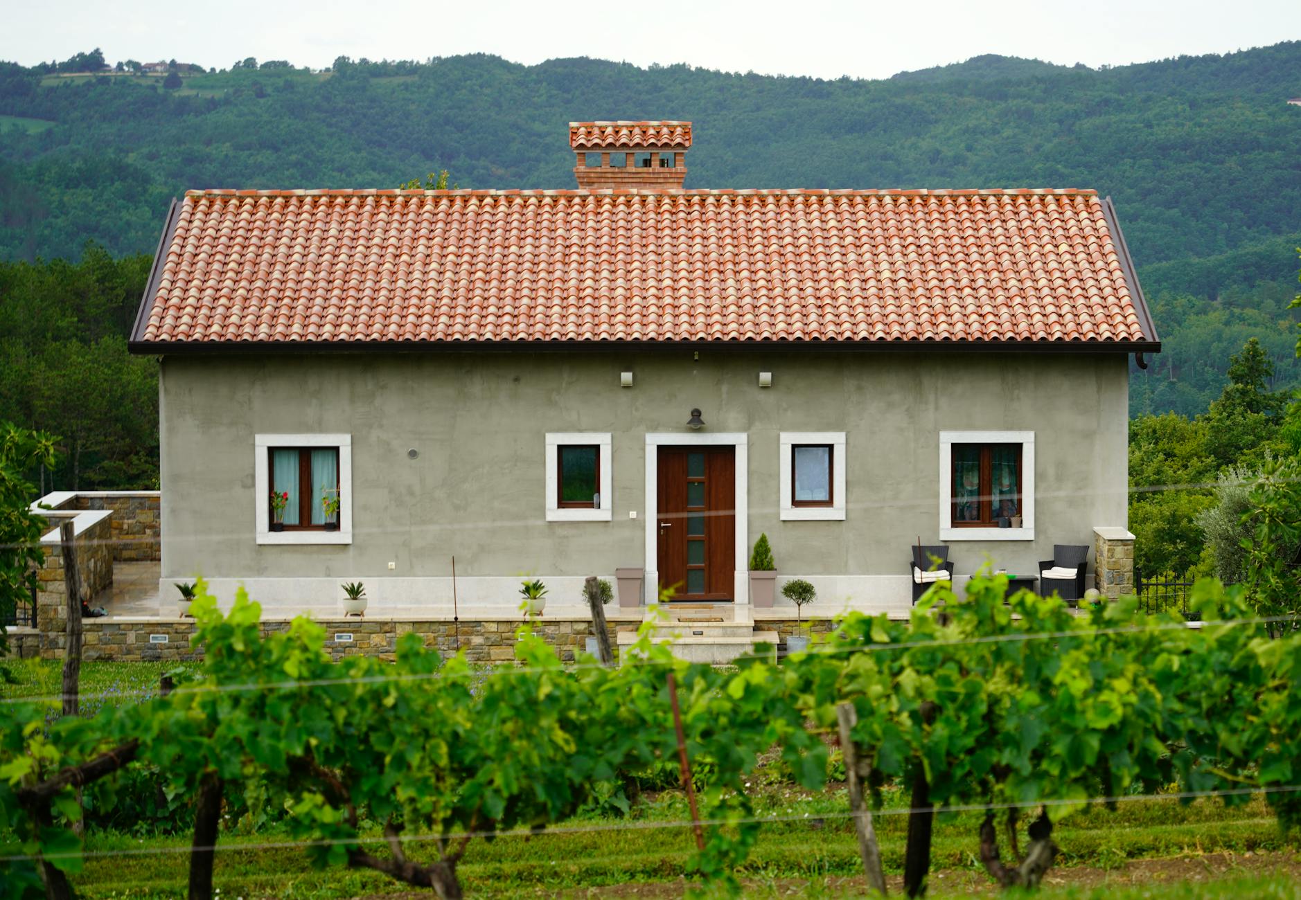 Kamienny dom w Hum otoczony winnicami i zalesionymi wzgórzami