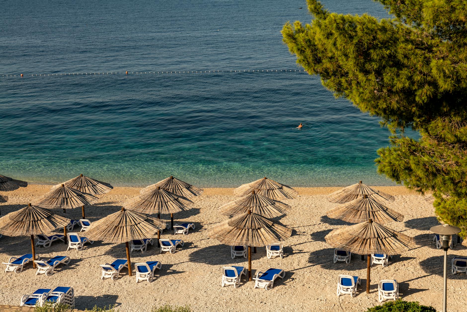 Plaża w Primošten z leżakami i parasolami nad turkusowym morzem